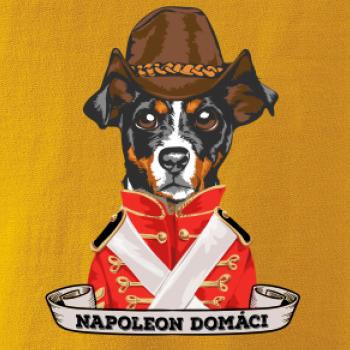 Napoleon domáci kríženec