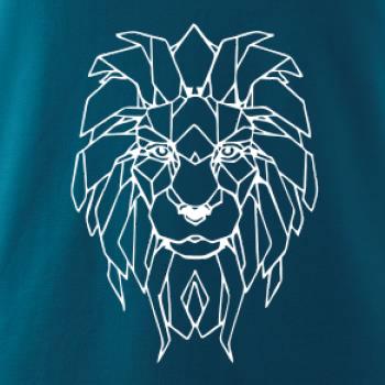 Geometria - lev tvár Geometria - lev tvár