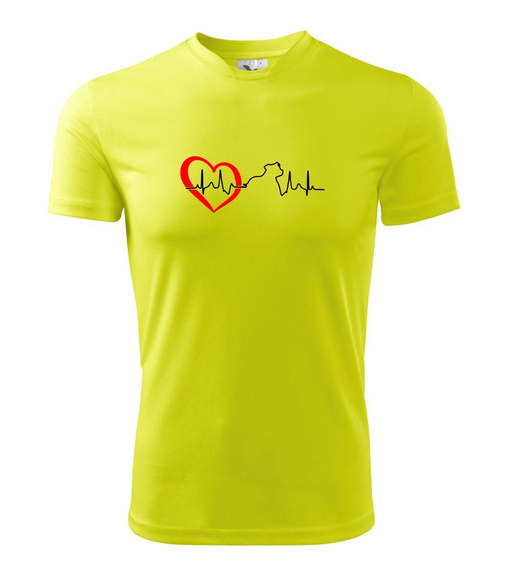 Stafordšírsky bulteriér  EKG Stafordšírsky bulteriér  EKG