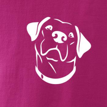 Labrador obrys Labrador obrys