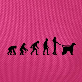 Evolúcia pes afgánsky chrt (muž-žena)