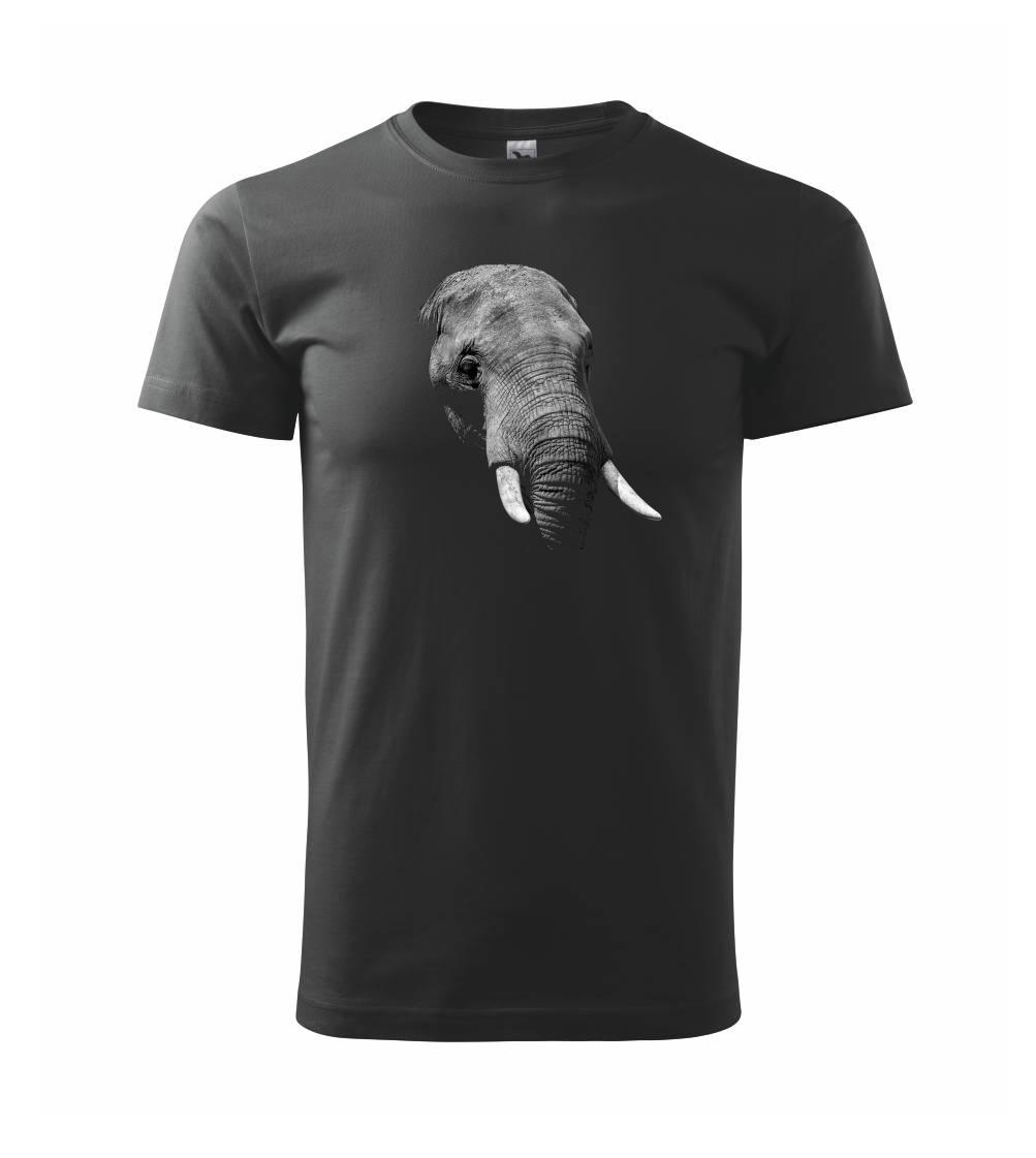 Tričká so zvieratami -  Slon v tme - Tričko extra veľké  (5-8XL)