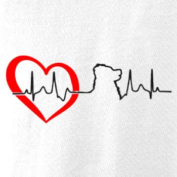 Bernský salašnický pes EKG Bernský salašnický pes EKG