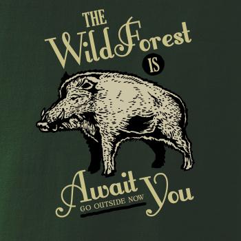  Wild forest diviak