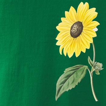 Slunečnice otočená