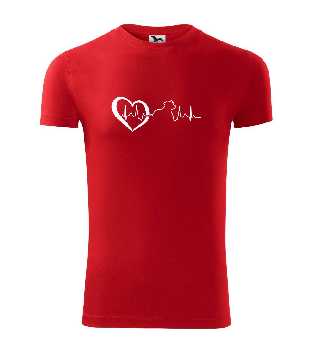 Stafordšírsky bulteriér  EKG Stafordšírsky bulteriér  EKG