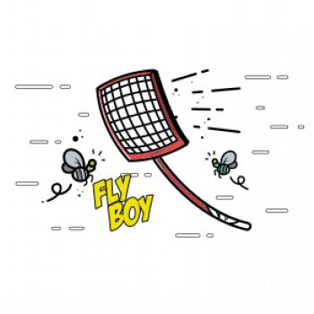 Fly Boy