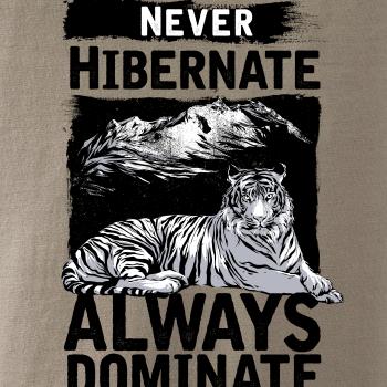 Never Hibernate Never Hibernate