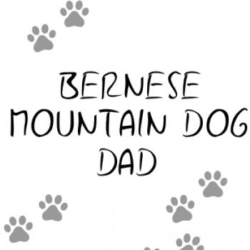 Bernese Mountain Dog dad (Bernský salašnícky pes) (Reflexné lapky)