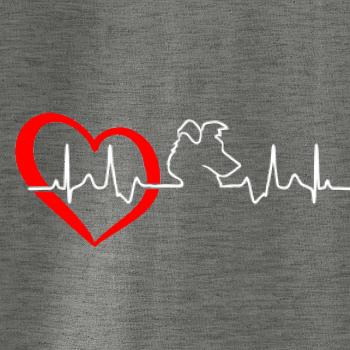 Borderská kólia EKG Borderská kólia EKG