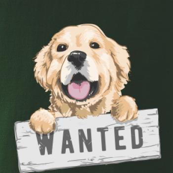 Zlatý retriever - šteniatko wanted Zlatý retriever - šteniatko wanted