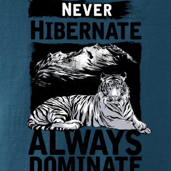 Never Hibernate Never Hibernate