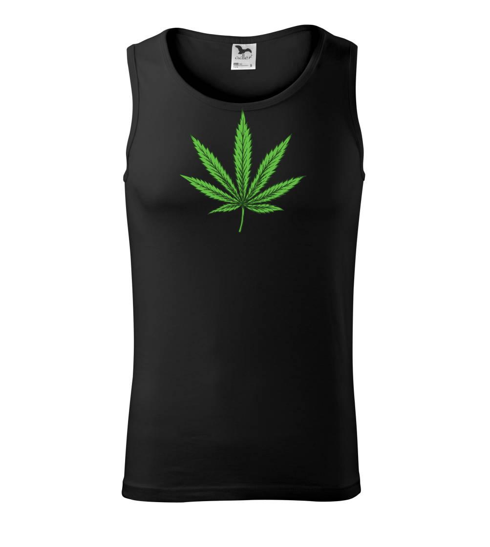 Zelený list Zelený list