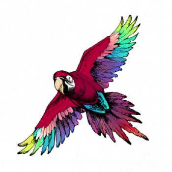 Papagáj kreslený letiaci Papagáj kreslený letiaci
