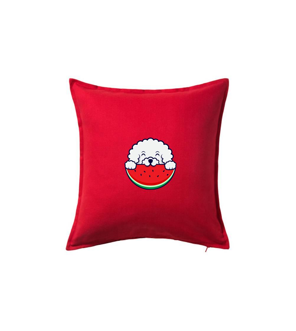 Bišónik s melónom