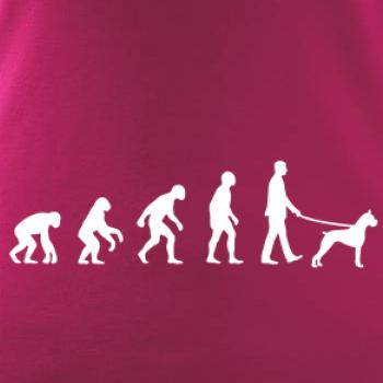 Evolúcia pes boxer (muž-žena)