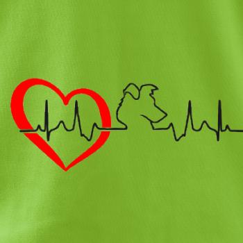 Borderská kólia EKG Borderská kólia EKG