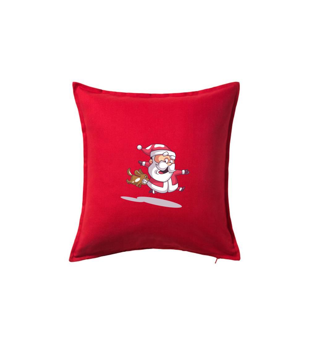 Santa so zahryznutým psom