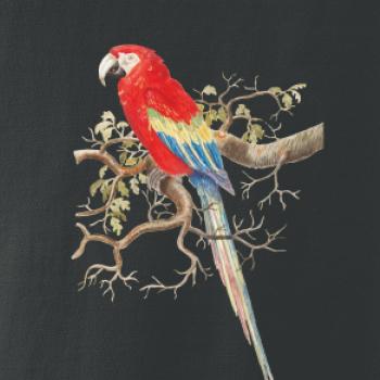 Papagáj  na listnatom strome