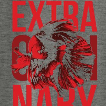 Fish extra