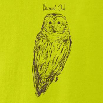 Sova pásikavá  Barred owl Sova pásikavá  Barred owl