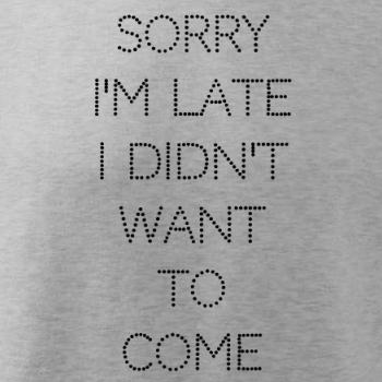 Sorry I am late i didn't want to come