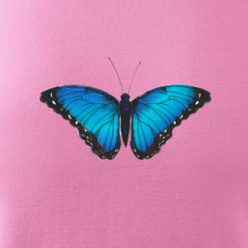 Motýľ Babôčka Morpho Peleides Motýľ Babôčka Morpho Peleides