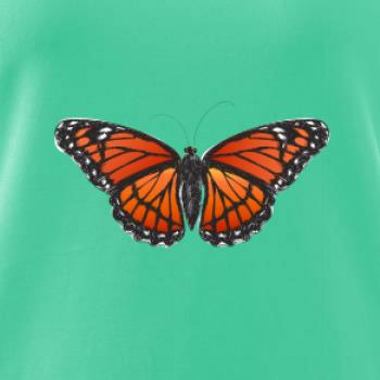 Motýľ Monarcha sťahovavý