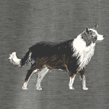 Border kólia kreslená