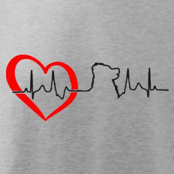 Bernský salašnický pes EKG