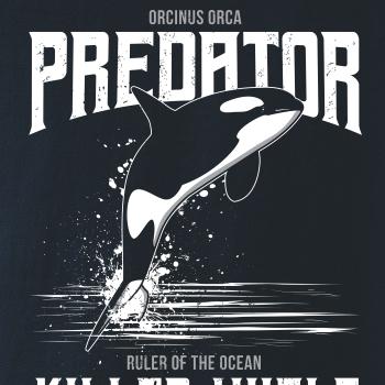 Orca predator