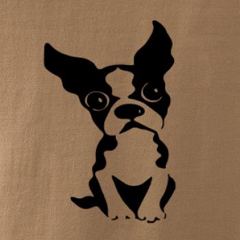 Bostonský teriér Bostonský teriér