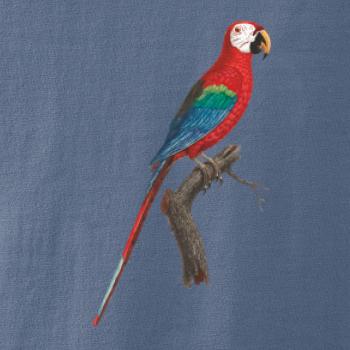 Papagáj červený na vetve