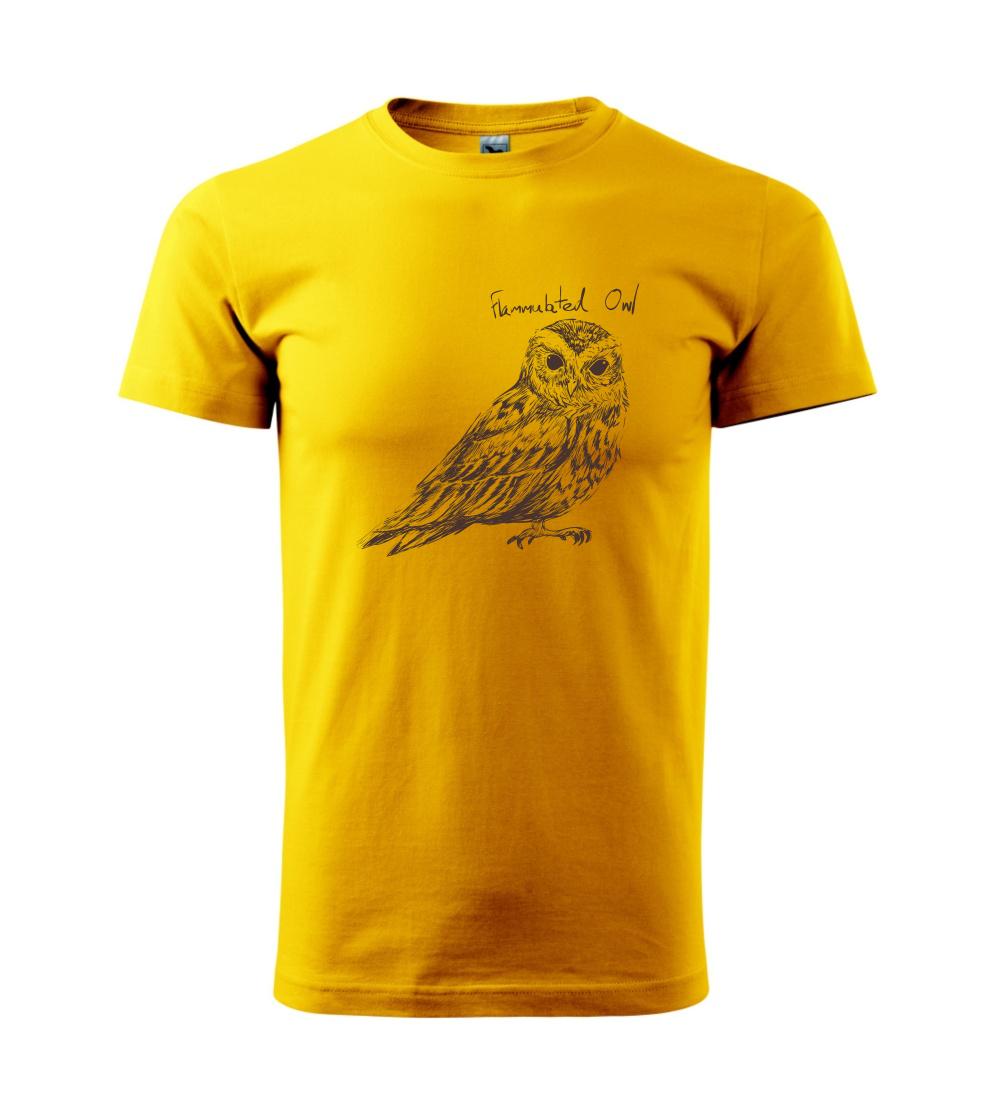 Výrček ohnivý  flammulated owl Výrček ohnivý  flammulated owl