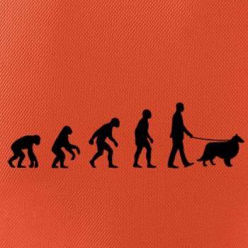 Evolúcia pes Šeltia (muž-žena)