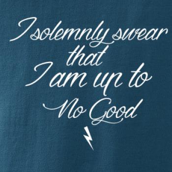 I solemnly swear that I'm up to no good