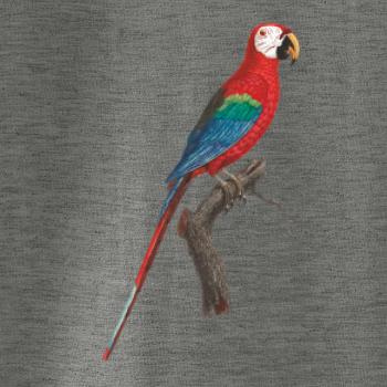 Papagáj červený na vetve