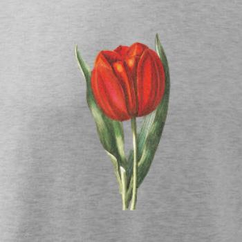 Červený tulipán