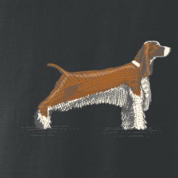 Vintage Springer spaniel