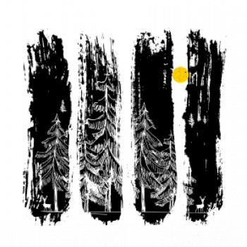 Srnky v lese Srnky v lese