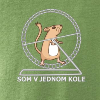 Som v jednom kole