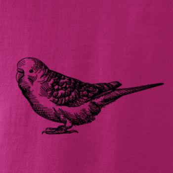 Ceruzkou kreslený Papagáj