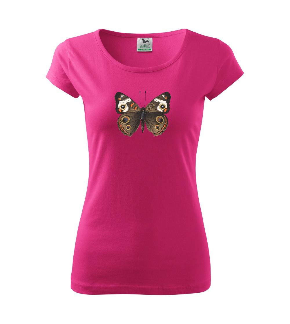 Motýľ motýle Motýľ motýle