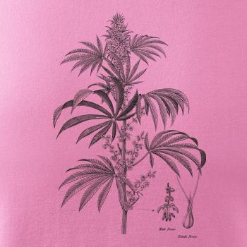 Konope kvietok čiernobiely   Konope kvietok čiernobiely