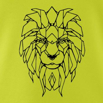 Geometria - lev tvár Geometria - lev tvár