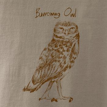 Kuvik zemný burrowing owl