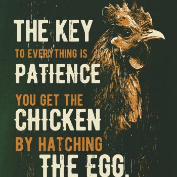 Chicken patience