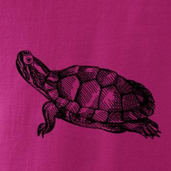 Ceruzkou kreslená korytnačka