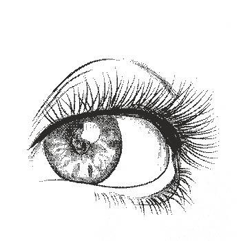 Obrie oko čiernobiele