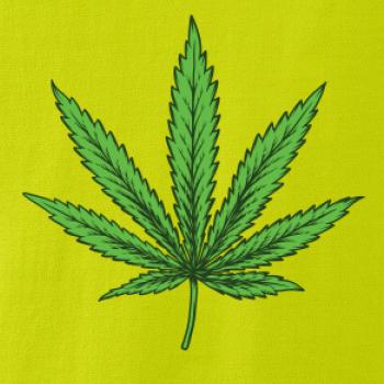 Zelený list Zelený list